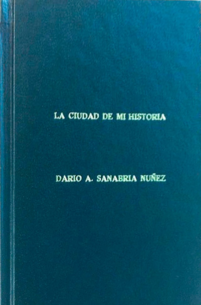 Dario A Sanabria Nuñez